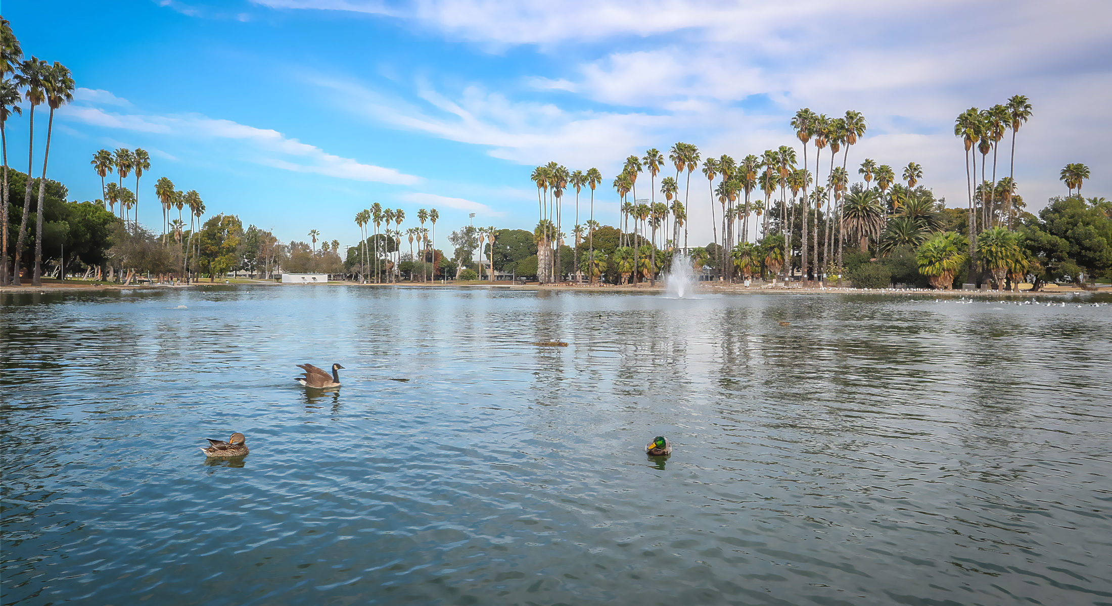 Alondra resevoir
