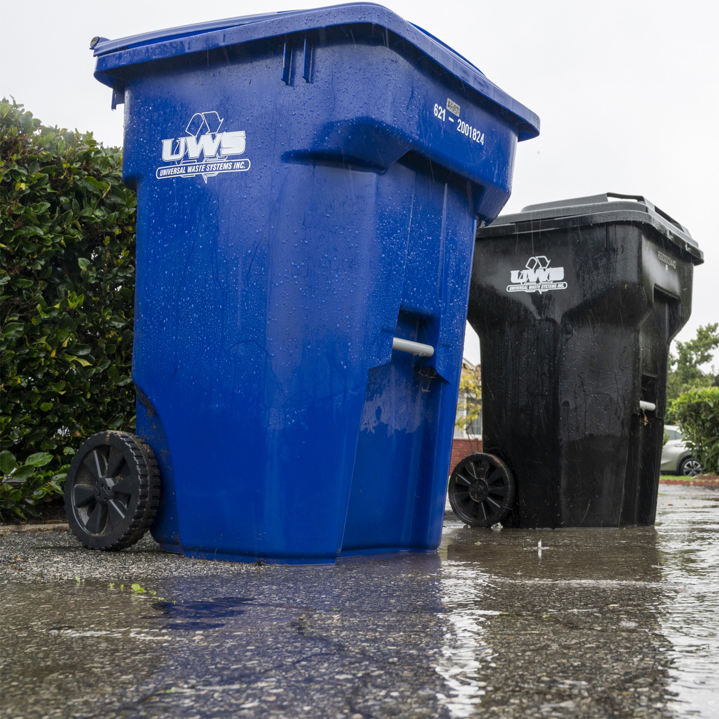 A blue recycling bin and a black trash bin sitting on a wet street during a rain event, illustrating proper waste management tips found in the LA County water FAQ.