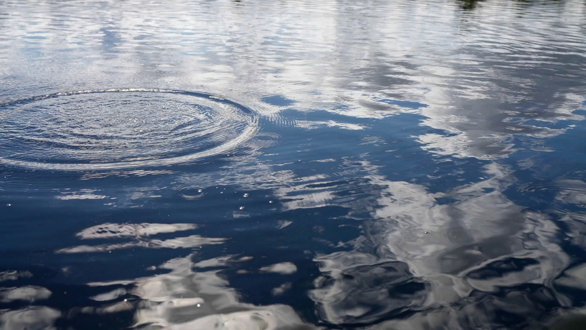 A close-up of water ripples expanding across the surface of a lake, highlighting the natural beauty and resources managed by About Water for LA.