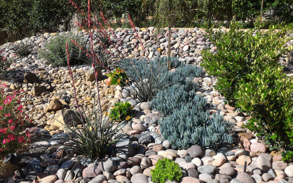 a photo of a rock garden