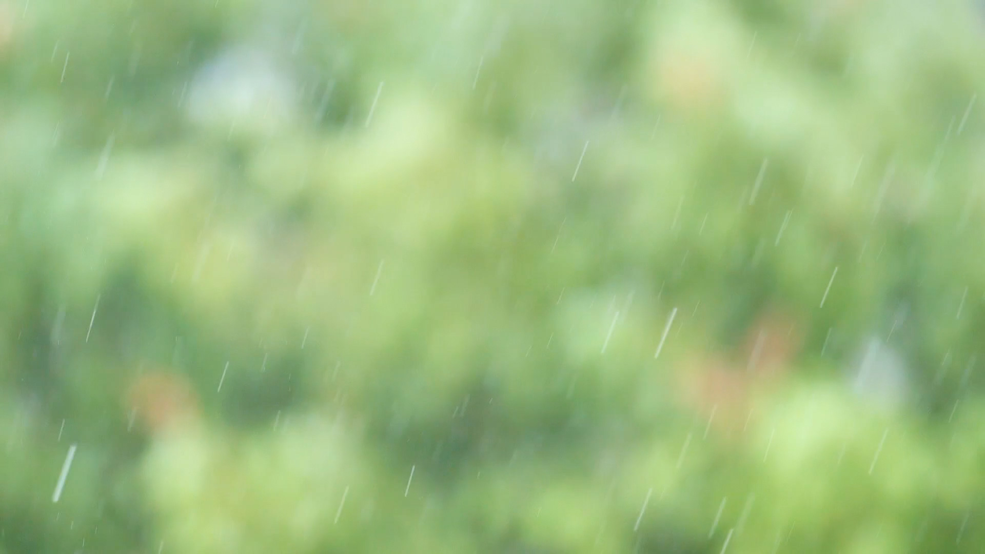 A close-up, soft-focus view of rain falling against a lush green background, representing the natural water source captured by Multi-benefit water projects.
