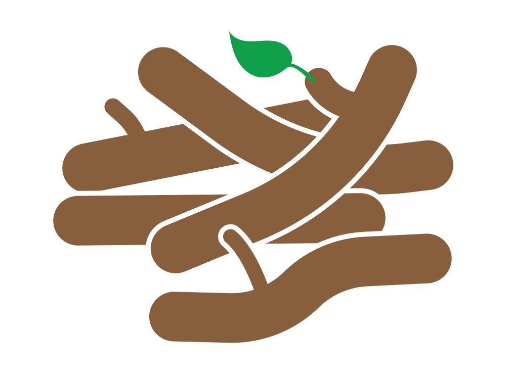 illustration of tree branches