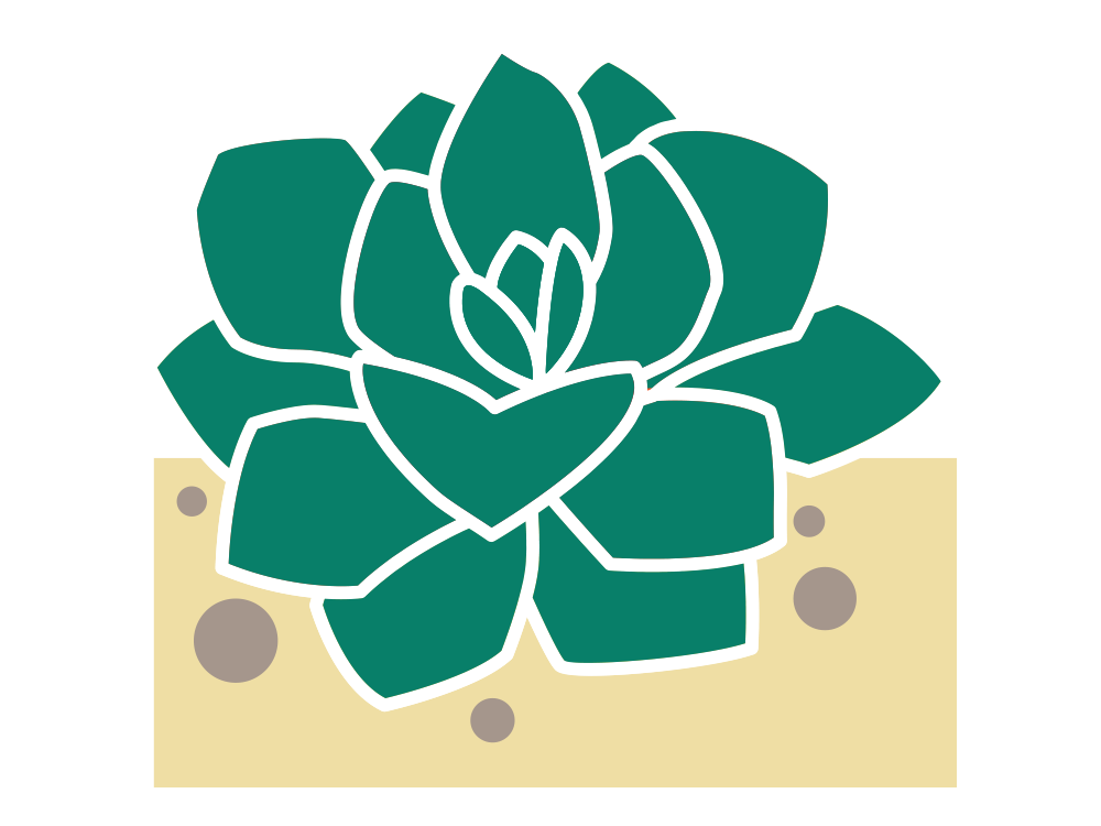 illustration of a drought tolerant plant