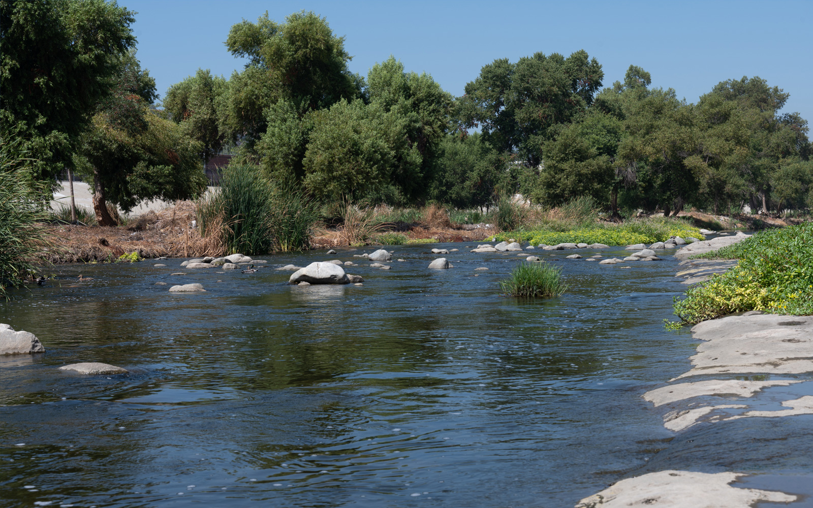 Los Angeles River Watershed