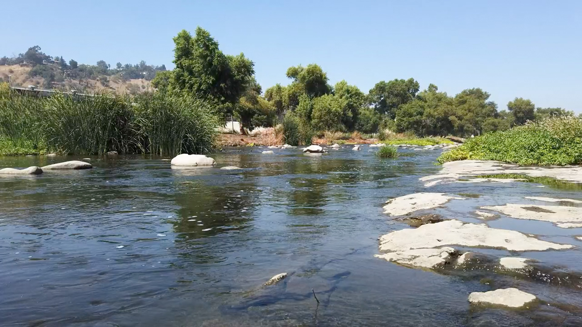 A wide, flowing river with rocky sections surrounded by lush green trees and vegetation