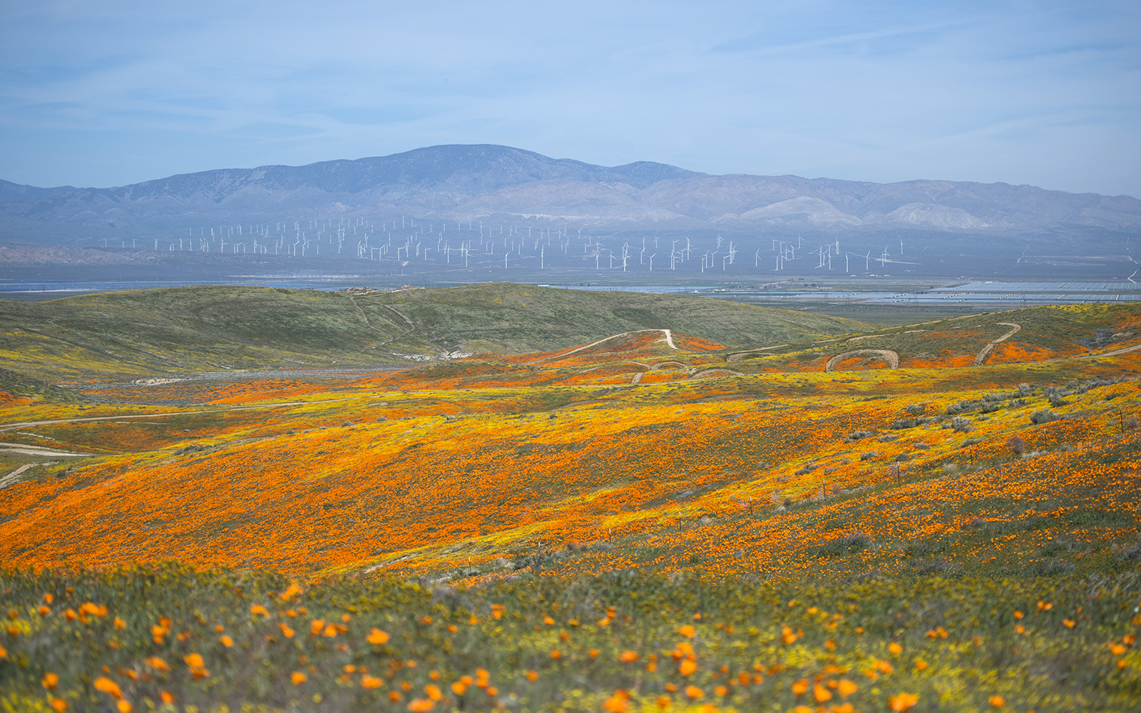 Antelope Valley Watershed