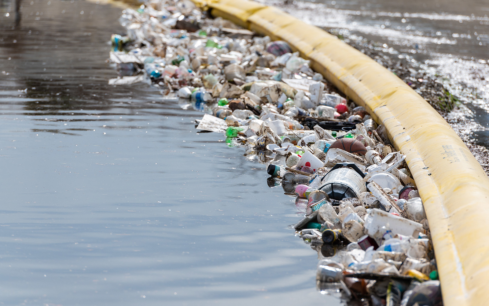 photo of the ballona creek interceptor