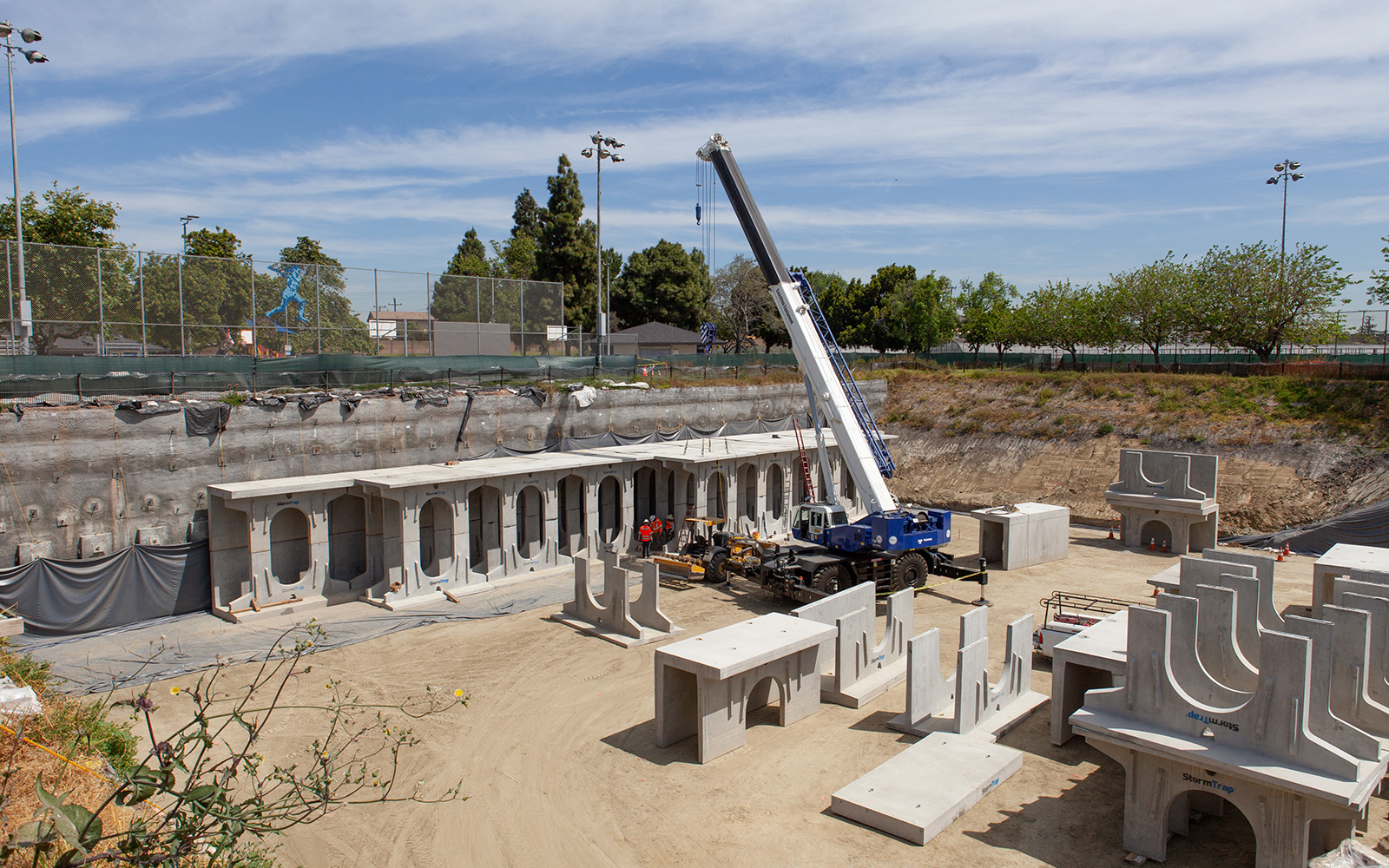 photo of the Carriage Crest Project