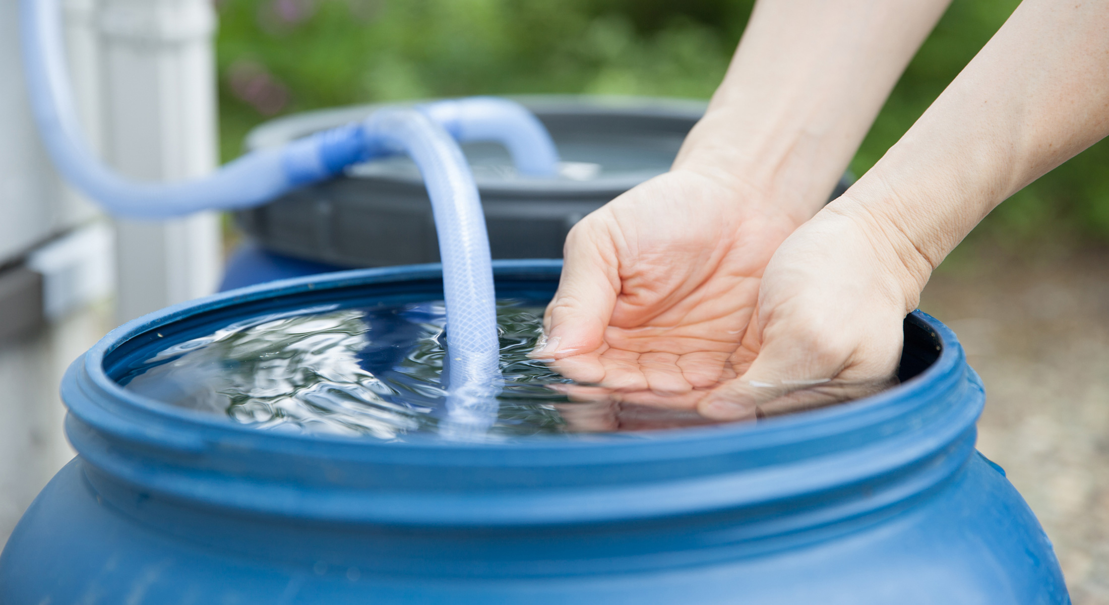 Photo of a rain barrel