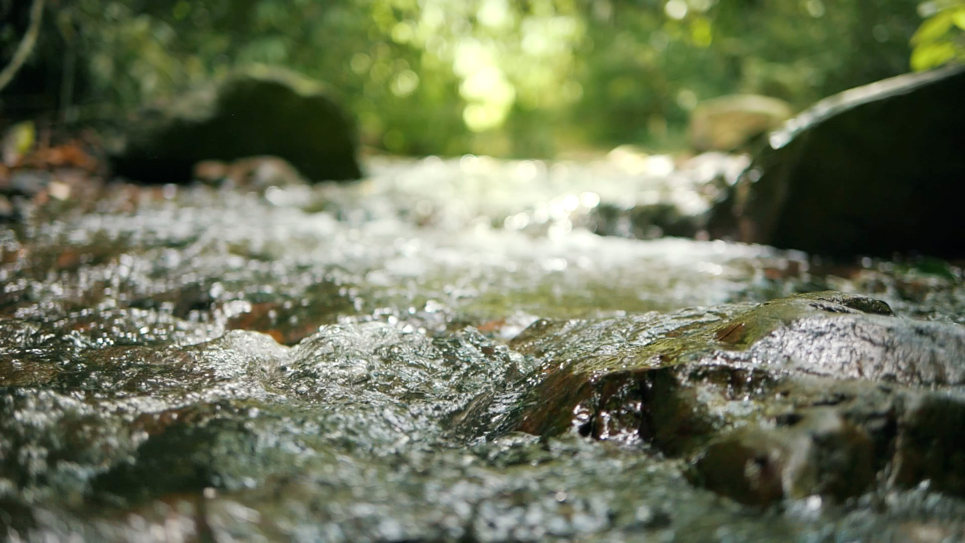 Photo of a Sunlight filtering through a forest canopy over a clear, rocky stream