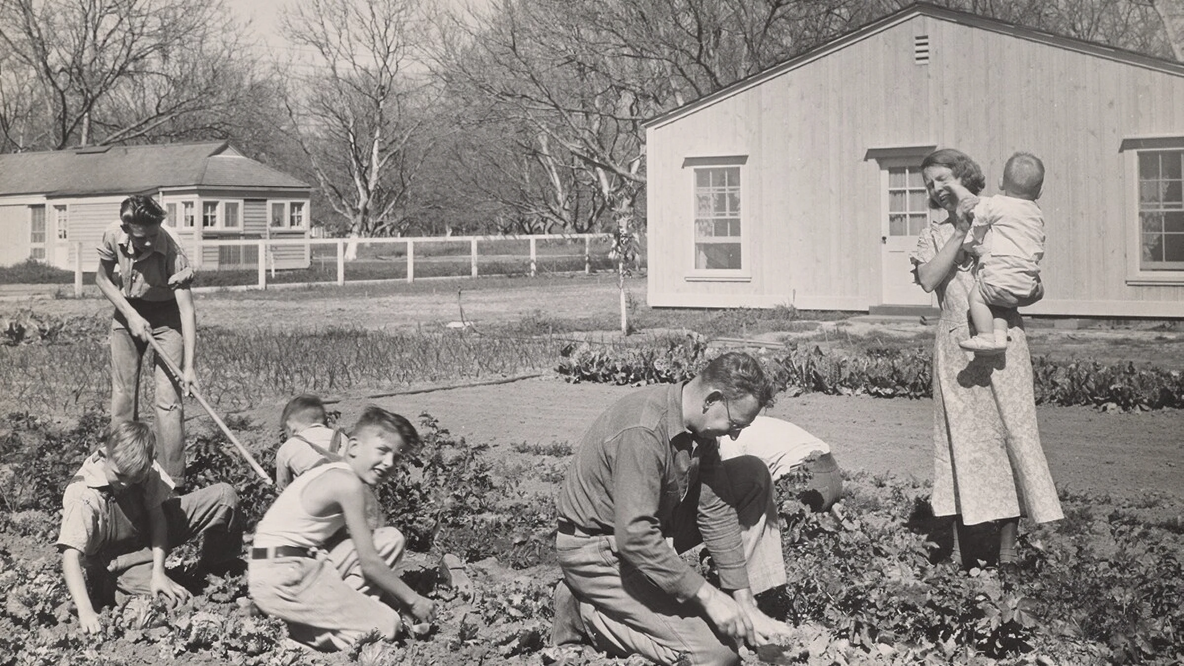 photo of a family gardening