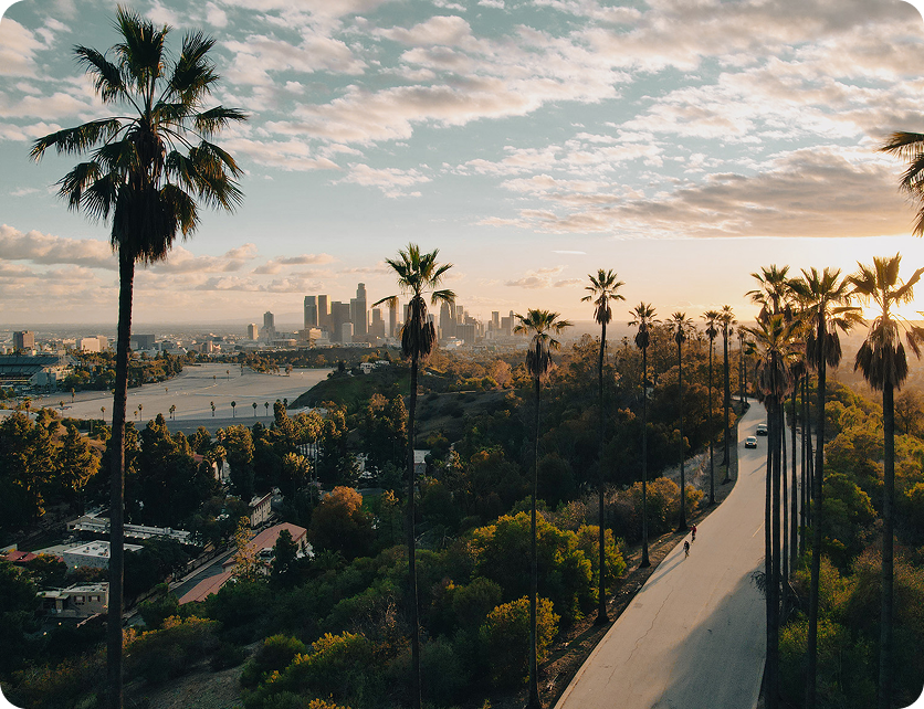 Photo of LA's urban landscape featuring a palm tree-lined road leading toward the city skyline and under a partly cloudy sky during sunset.